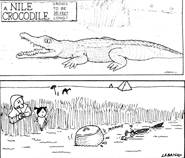 Nile crocodile, Moses saved in the basket