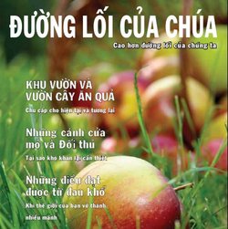 Activated Magazine in Vietnamese