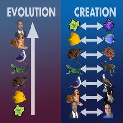 Creation vs evolution's lies