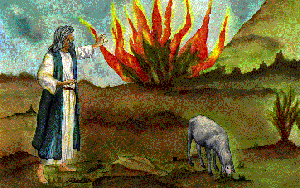 Burning Bush that Moses saw